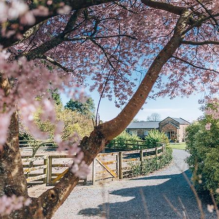 Lexington Park Cottages Cambridge Ngoại thất bức ảnh