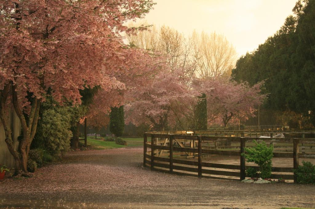 Lexington Park Cottages Cambridge Ngoại thất bức ảnh