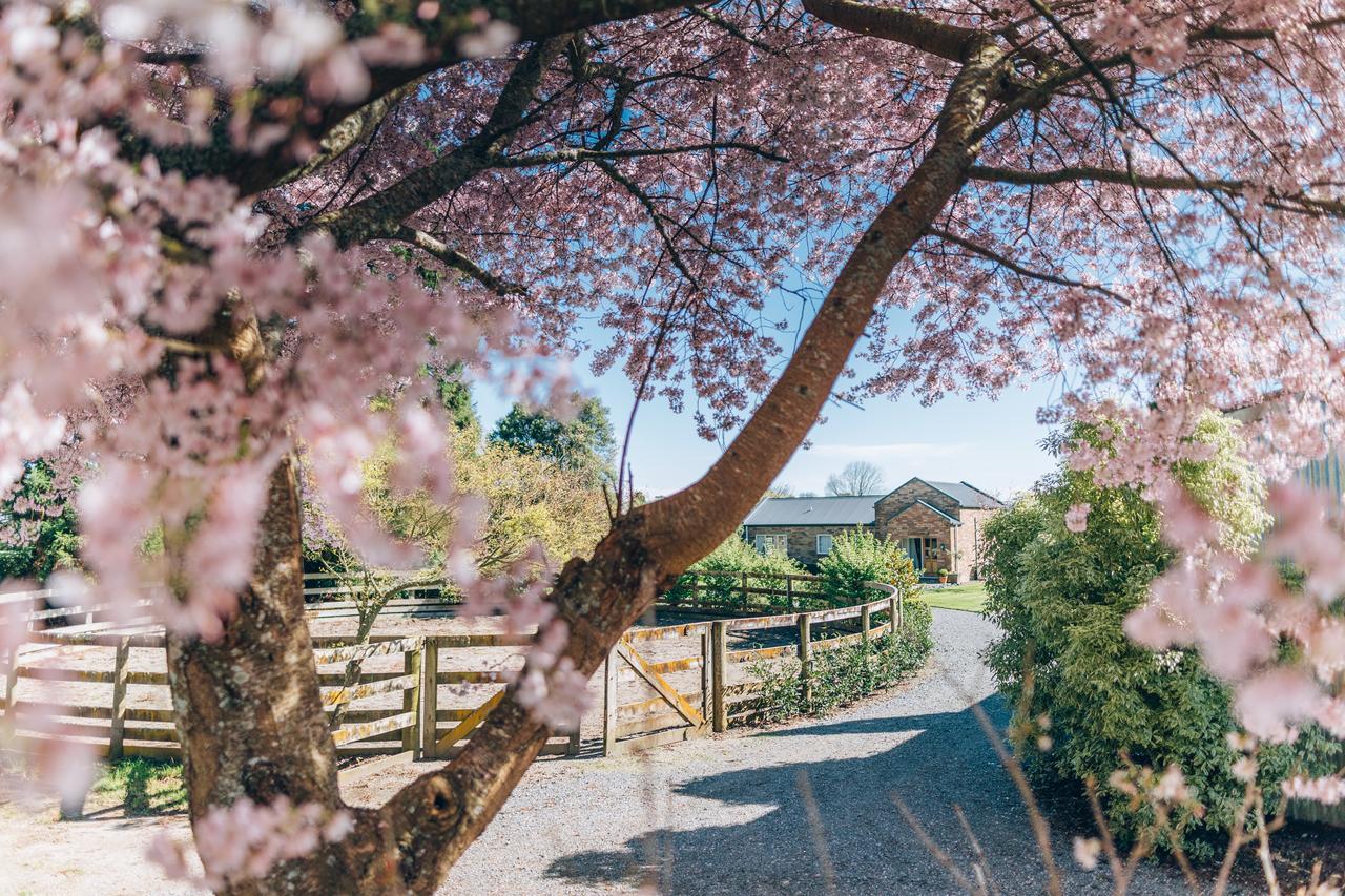 Lexington Park Cottages Cambridge Ngoại thất bức ảnh