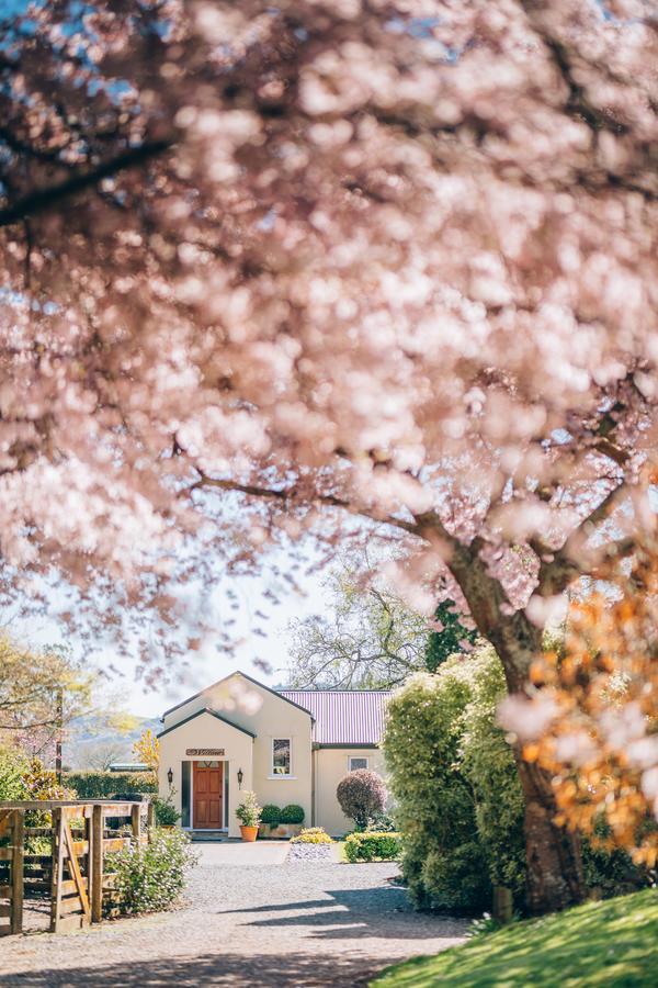 Lexington Park Cottages Cambridge Ngoại thất bức ảnh